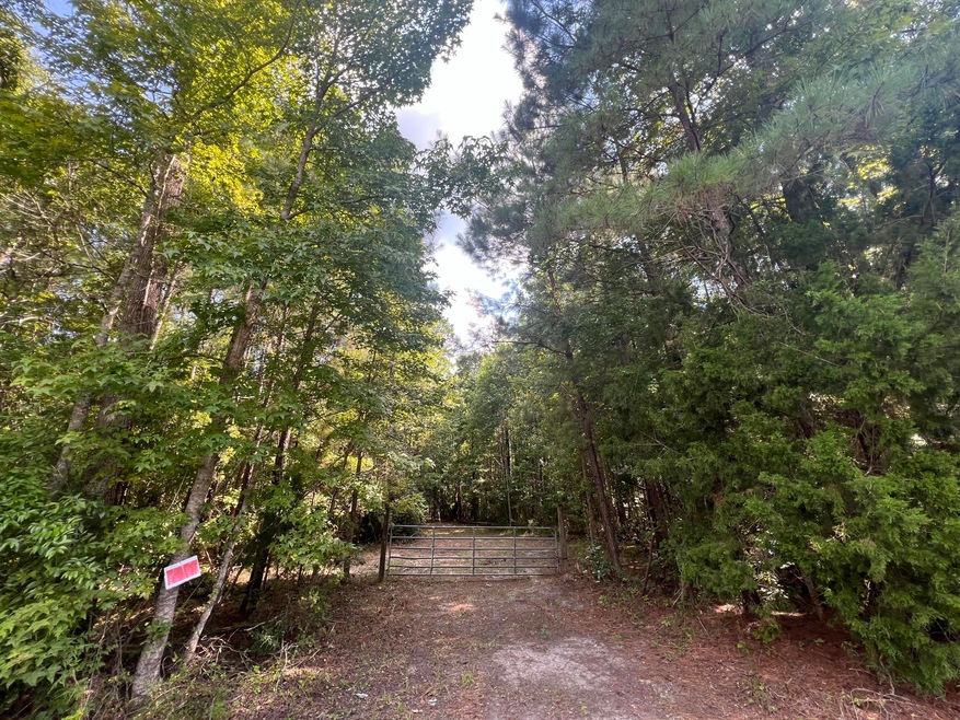 0 French Santee Rd unit 24022267, Jamestown, SC 29453 - photo 1