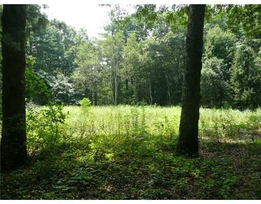 Land/Lot.
