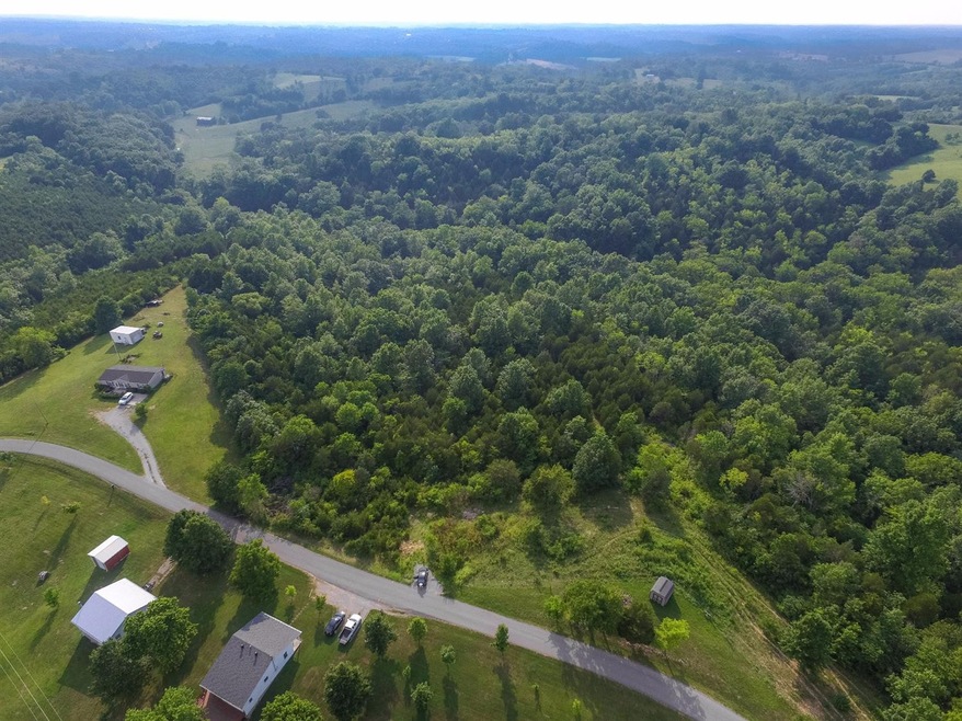 802 Old Dixville Rd, Harrodsburg, KY 40330 - photo 1