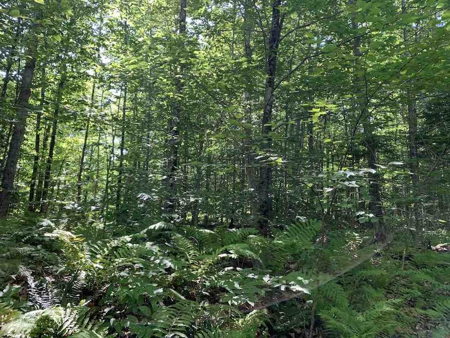 0 Beech Hill Rd, Warren, NH 03279 - photo 1