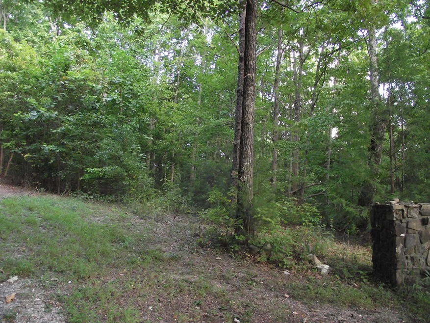 #688 - Woodcock Rd