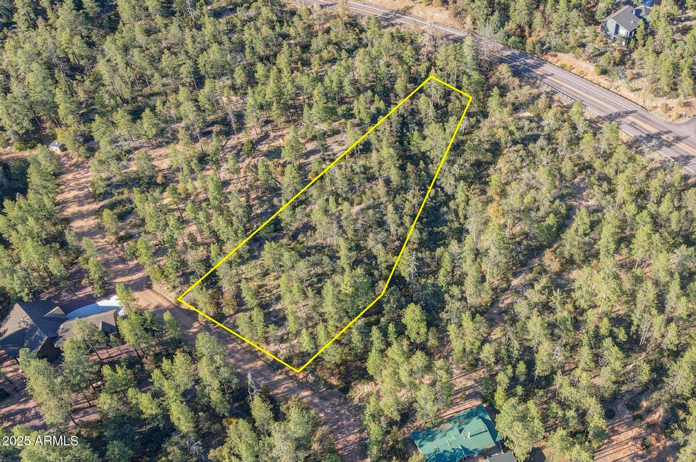 Lot 5 Pine Hollow Trail unit 5, Pine, AZ 85544 - photo 1