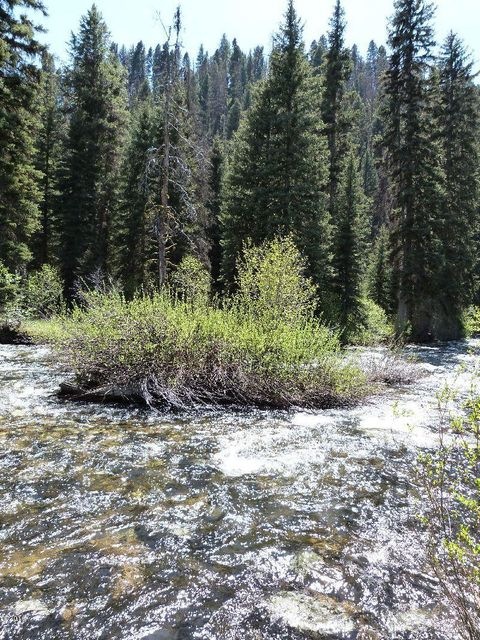 river