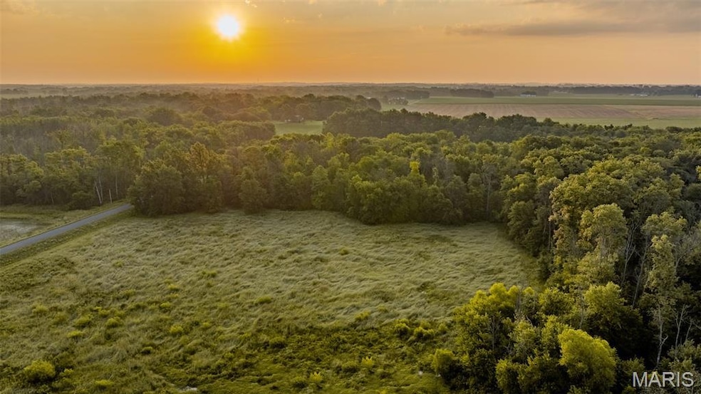 Aerial view at dusk of a rural view