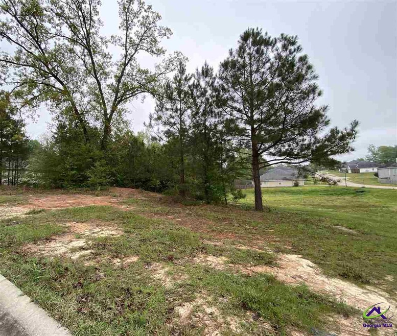 209 Mcvey Trail, Centerville, GA 31028 - photo 1