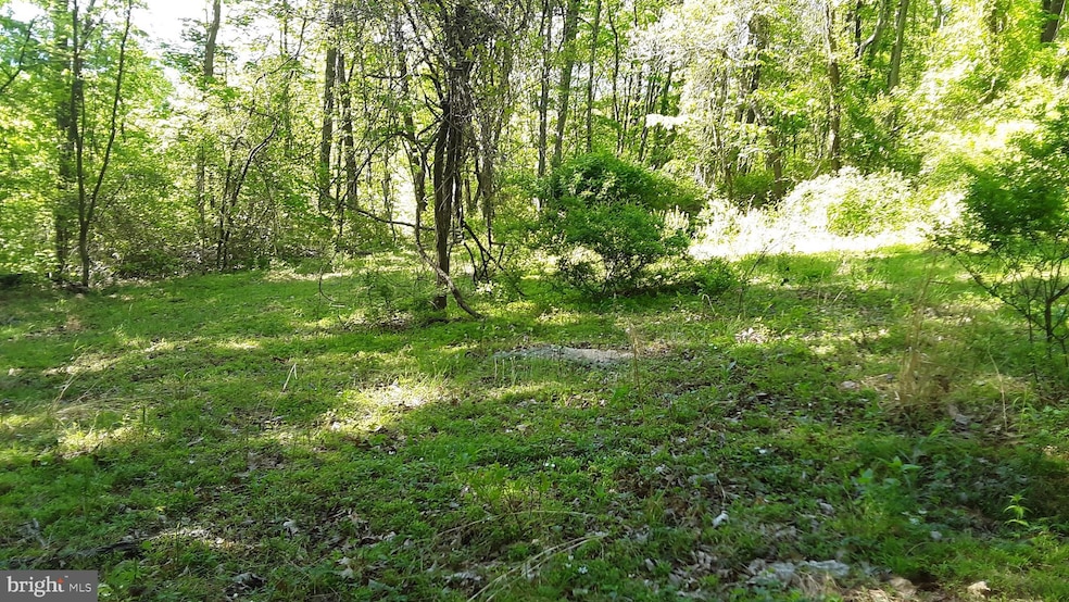 6588 Paw Paw Rd, Paw Paw, WV 25434 - photo 1