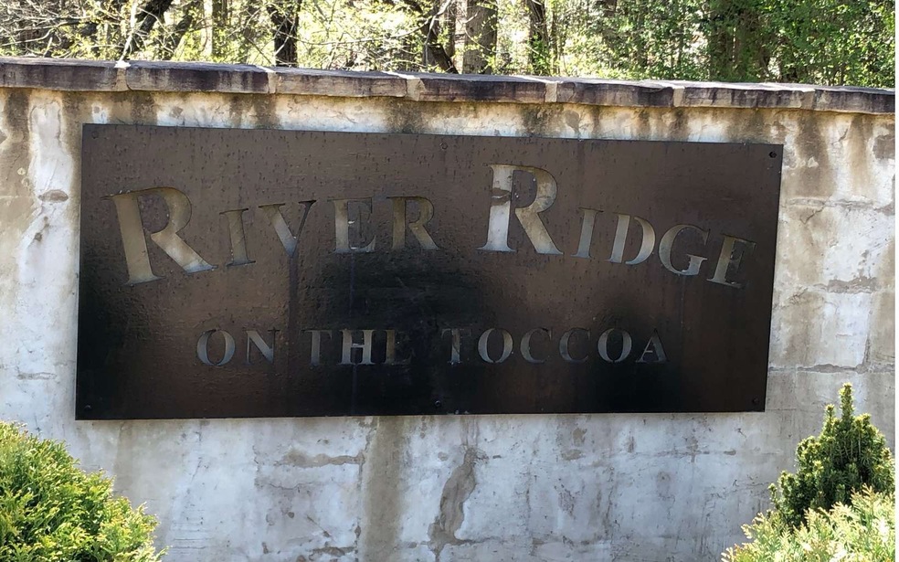 LT 36 Cascading Brook Ln, Blue Ridge, GA 30513 - photo 1