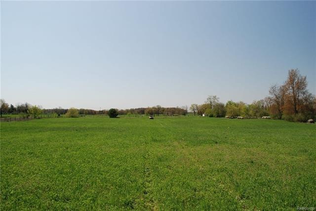 Looking south from back of property