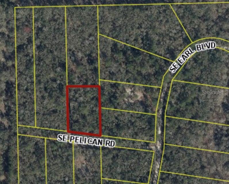 164 SE Pelican Rd, Branford, FL 32008 - photo 1