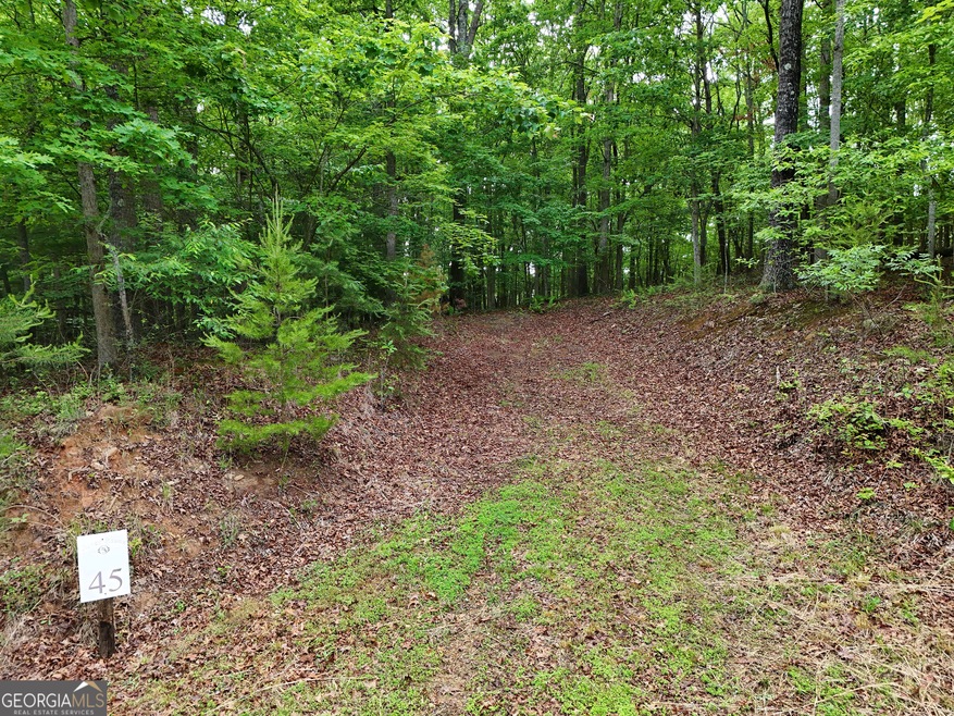 Lot 45 Cascading Brook Ln, Blue Ridge, GA 30513 - photo 1