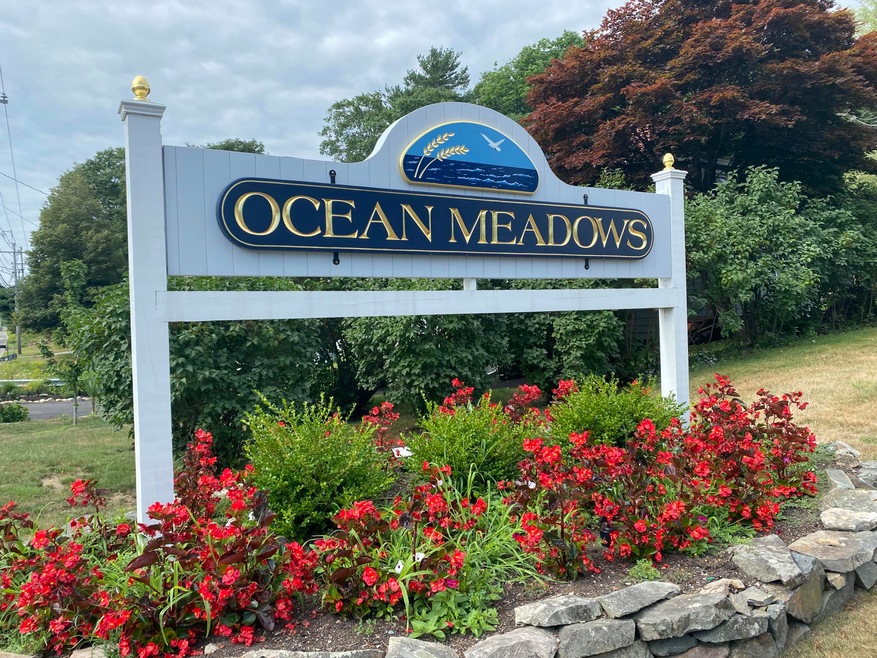 Ocean Meadows
