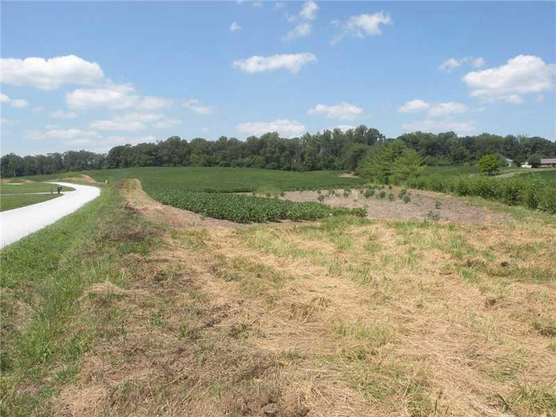 0 Co Rd 675 unit 21262430, Sunman, IN 47041 - photo 1