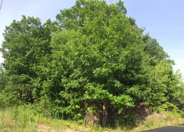 74 State Rd, Kittery, ME 03904 - photo 1