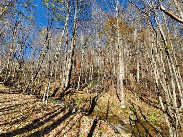 999 Scronce Creek Rd, Cane River, NC 28714 - photo 1