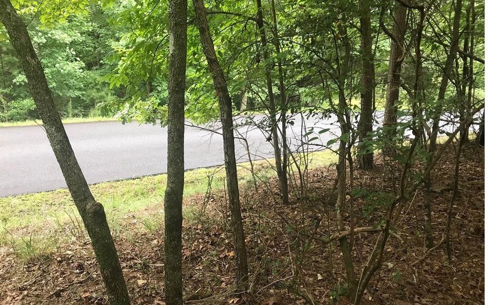 LT541 Tonto Dr, Ellijay, GA 30540 - photo 1