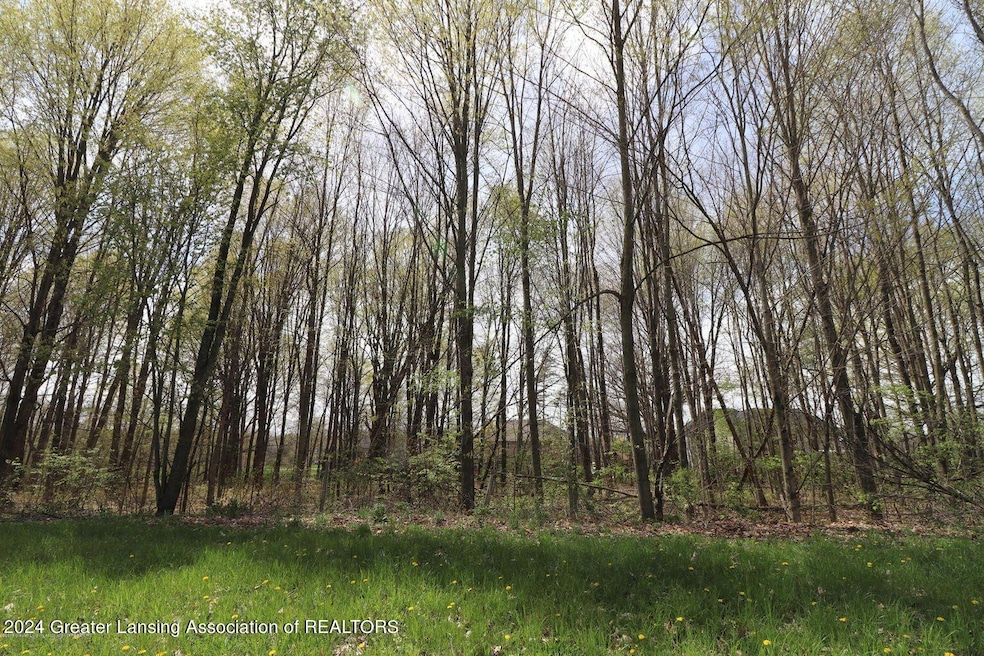 2645 Navigator Ln, Lansing, MI 48911 - photo 1