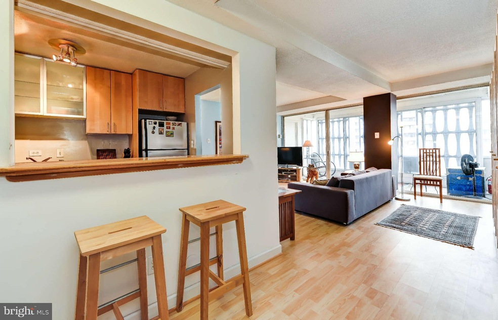 River Park unit N306, Washington, DC 20024 - photo 1