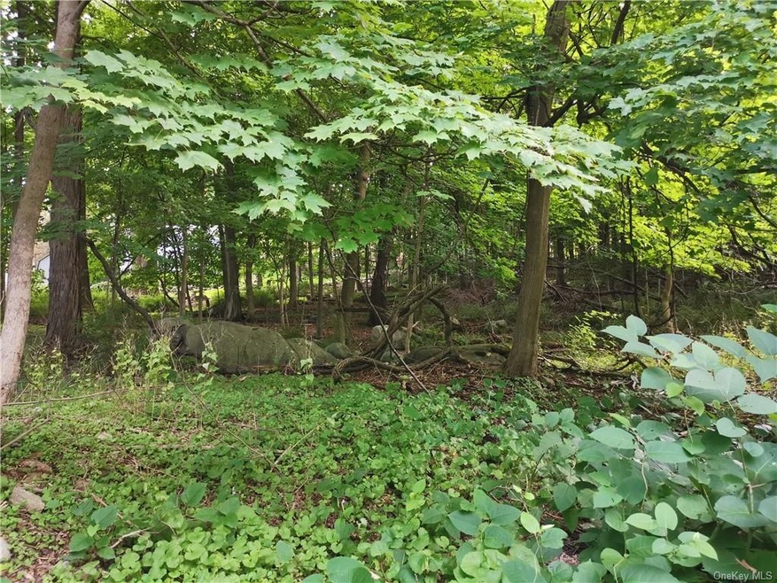 0 Sunset Hill Rd, Putnam Valley, NY 10579 - photo 1