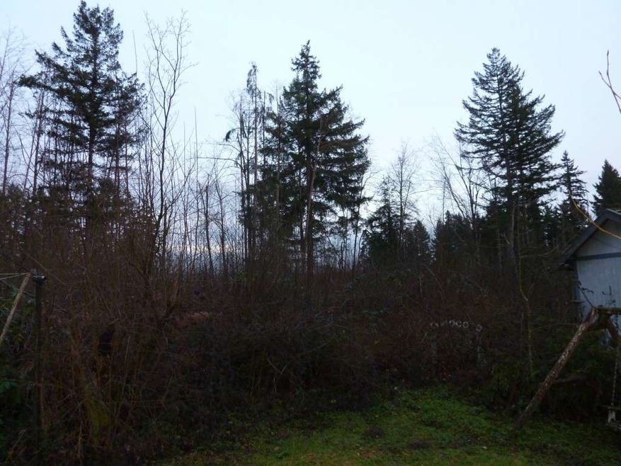 27805 93rd Ave E, Graham, WA 98338 - photo 1