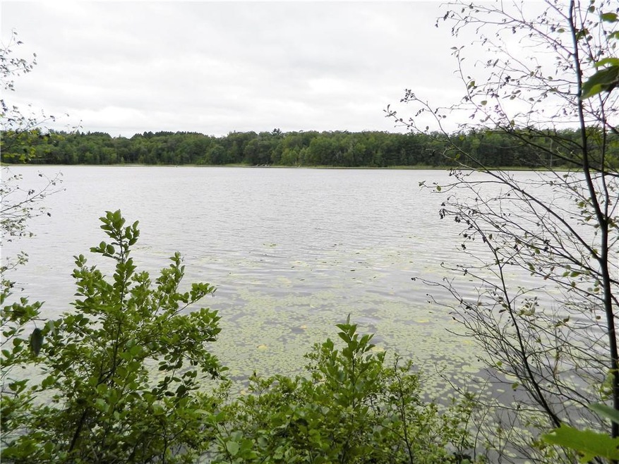 0 Bluff Lake Rd unit 1550790, Danbury, WI 54830 - photo 1