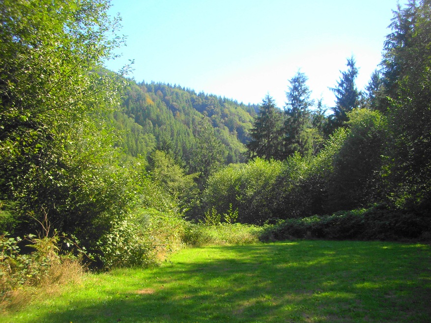 17525 Crest View Lane Acreage - Nehalem