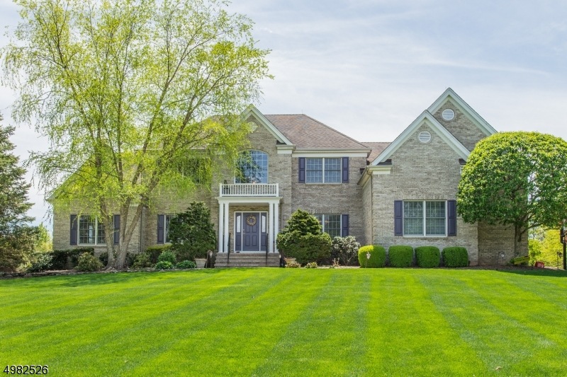 16 Harvest Moon Ln, Belle Mead, NJ 08502 - photo 1