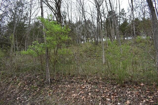 2300 Glensboro Rd, Lawrenceburg, KY 40342 - photo 1