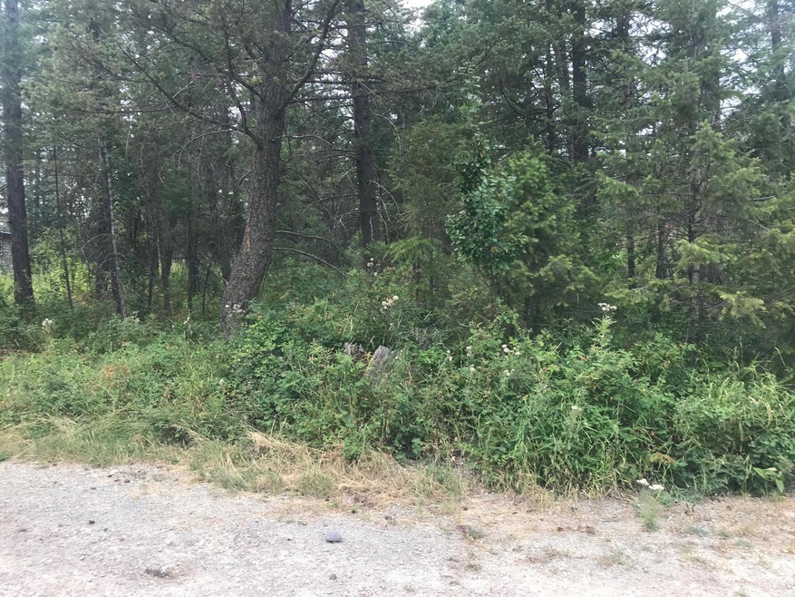 450 Cougar Trail, Whitefish, MT 59937 - photo 1