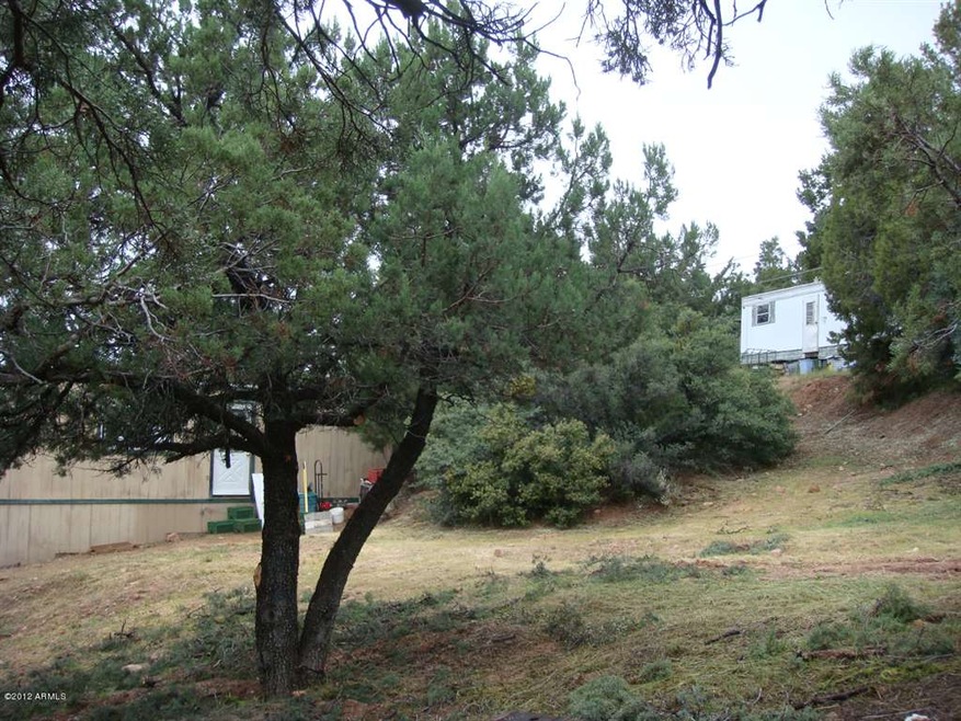 DSC05338