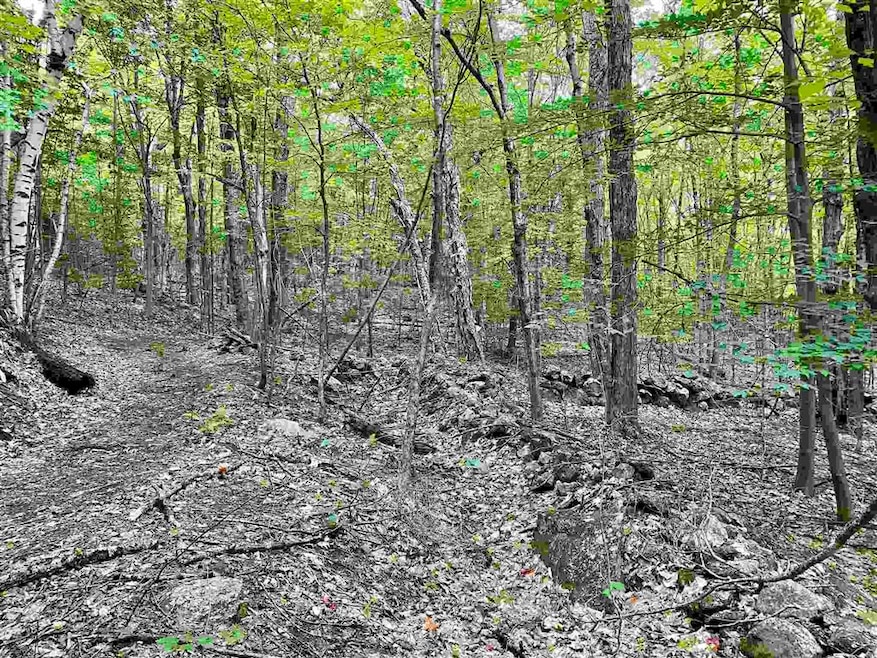 Lot 1 and 6 Grace and Granite Hill Rd, Wilmot, NH 03287 - photo 1