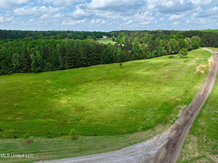 1 Sandy Ln, Flora, MS 39071 - photo 1