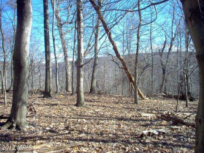 LOT 18 Adelaide Cir, Kabletown, WV 25425 - photo 1