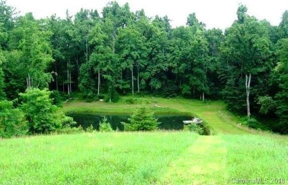 Spring fed pond nestled amongst the trees!