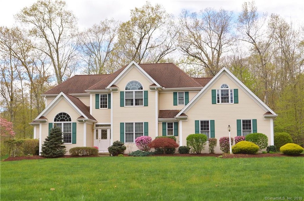 Gorgeous Custom Built Colonial with all the bells 