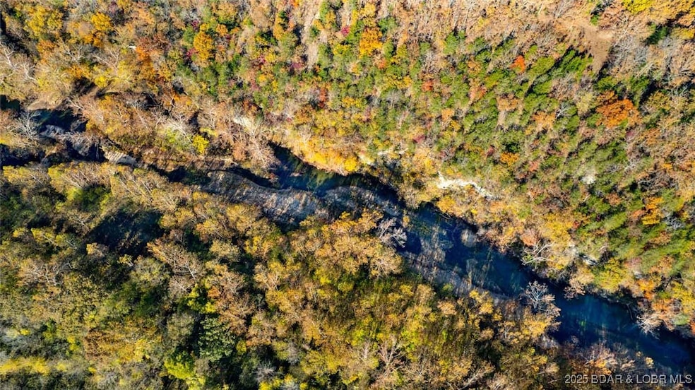 TBD Goldie Bend Rd, Camdenton, MO 65020 - photo 1