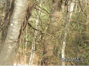 47 Wentworth Ave, Asheville, NC 28803 - photo 1