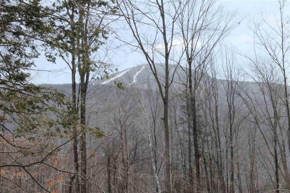 7 Cortina Country Rd unit Lots 10 and 11, Mendon, VT 05701 - photo 1