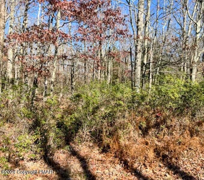 A151 Blackberry Ln, Jim Thorpe, PA 18229 - photo 1