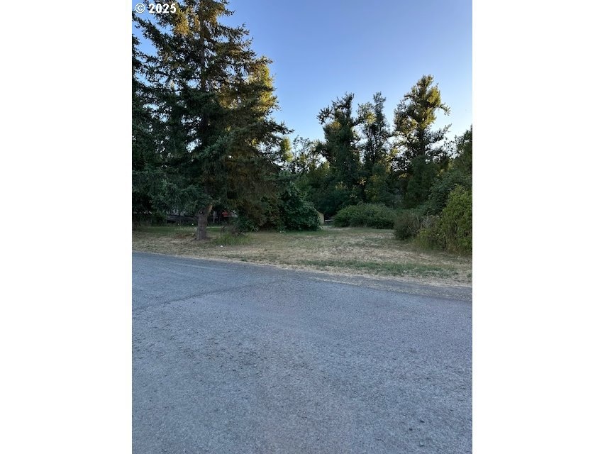 78412 Snauer Ln, Cottage Grove, OR 97424 - photo 1