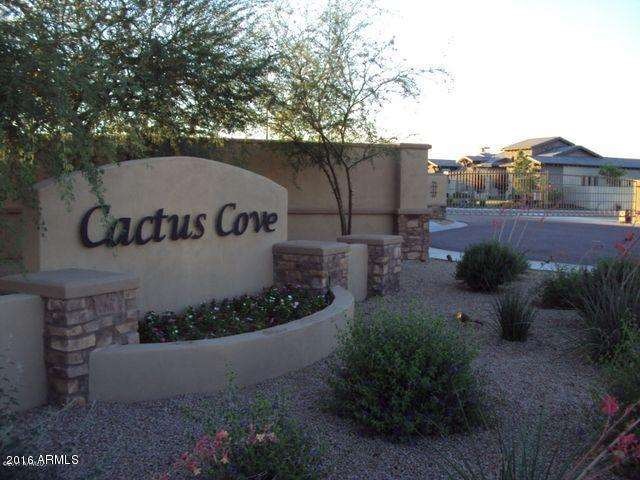 Cactus Cove
