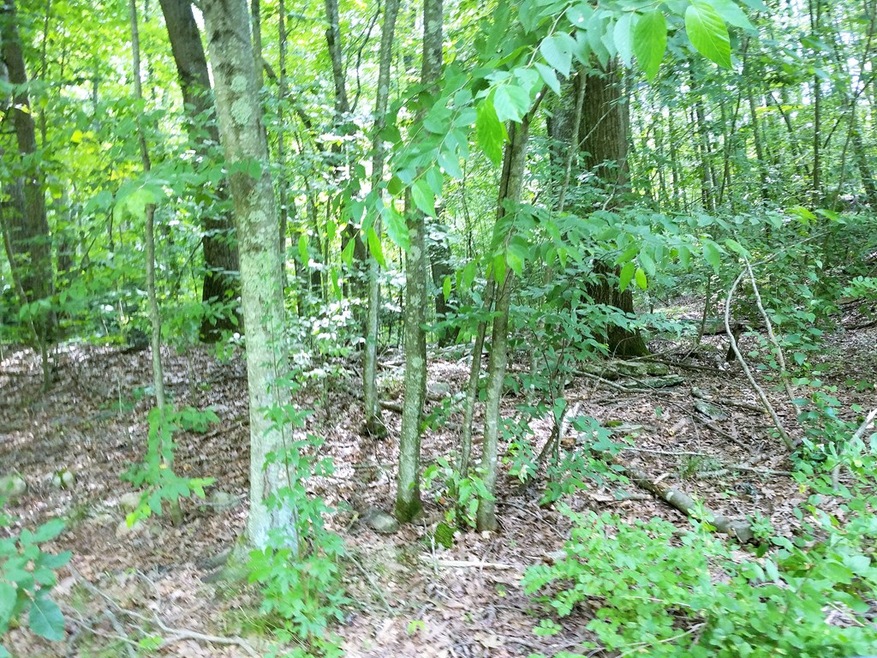 0 Pierpont Rd, Dudley, MA 01571 - photo 1