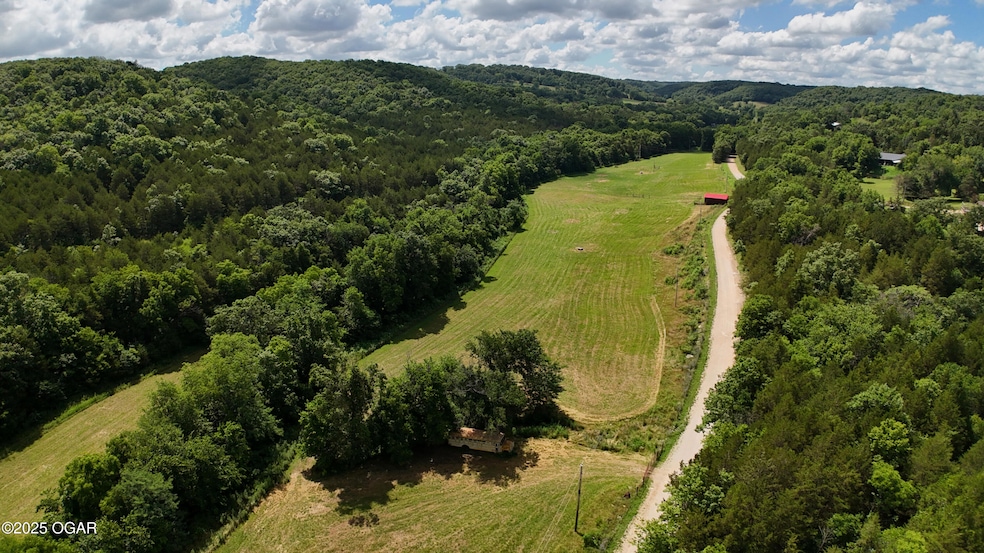 000 Farm Road 1182, Jenkins, MO 65605 - photo 1