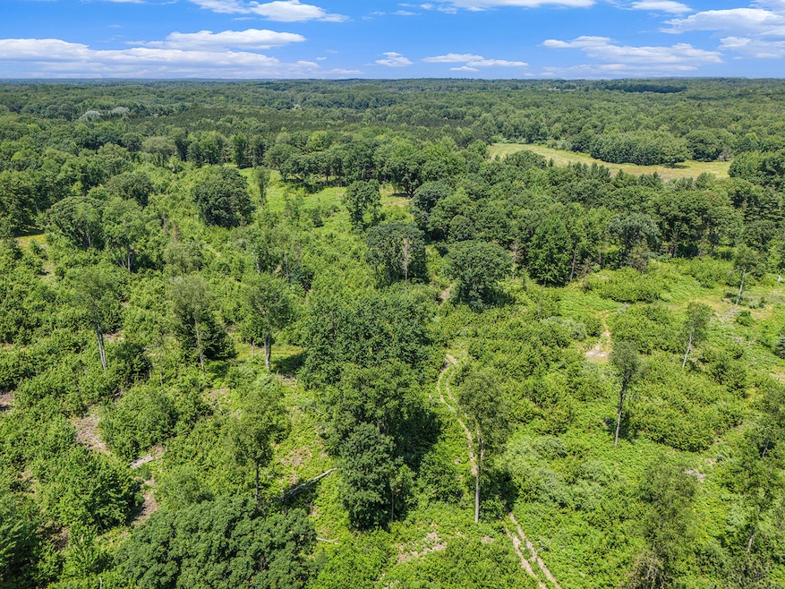 2714 E Hawley Rd, Custer, MI 49405 - photo 1