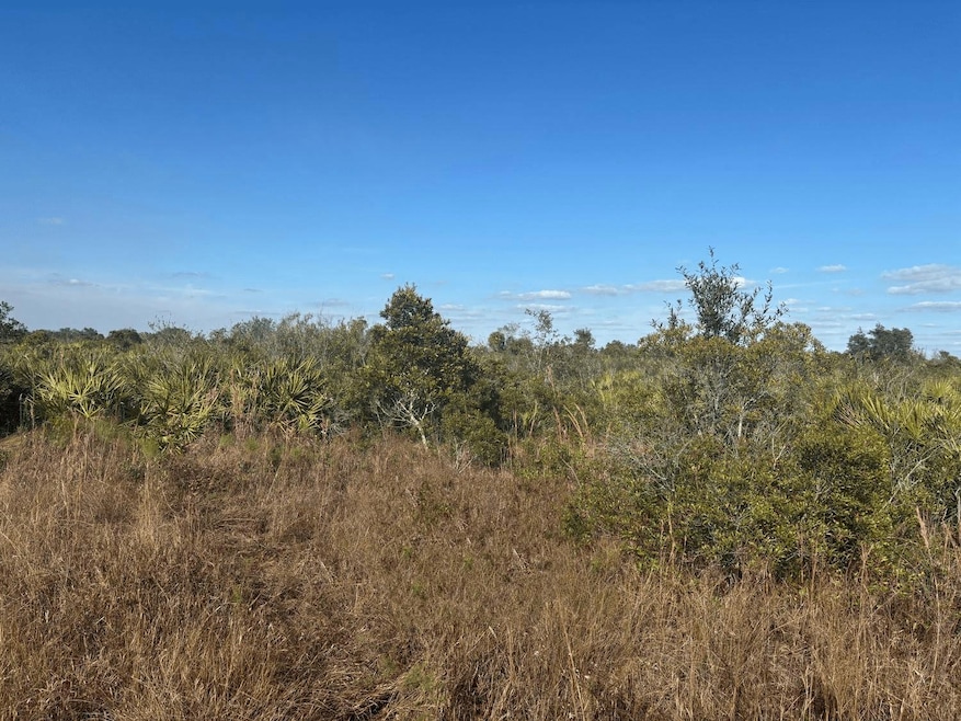 0 NW 290th St unit F10528493, Okeechobee, FL 34972 - photo 1