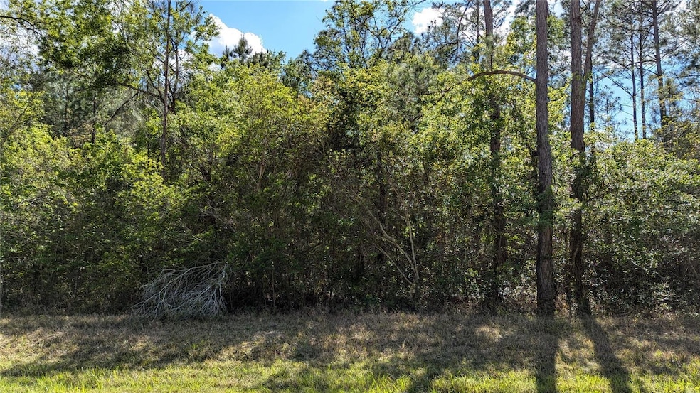 00 NE 108th Place, Waldo, FL 32694 - photo 1