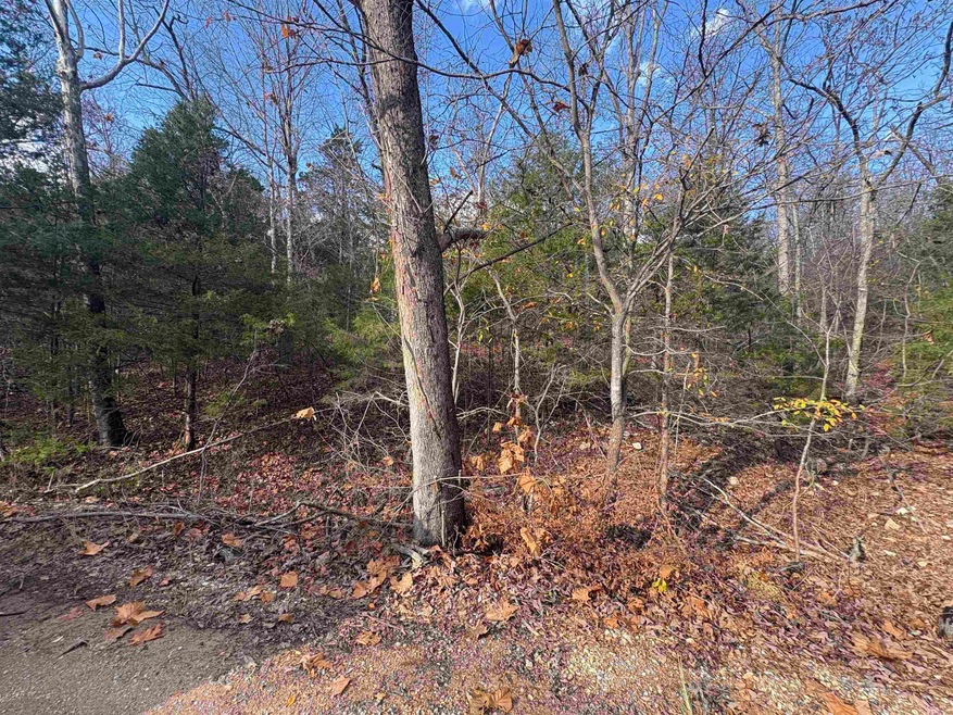 Tract D Crystal Oaks Trail, Gamaliel, AR 72537 - photo 1