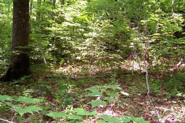 00 Snow Hill Falls Ln, Franklin, NC 28734 - photo 1