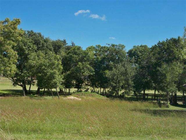 Large Live Oaks and Spanish Oaks at the rear of th