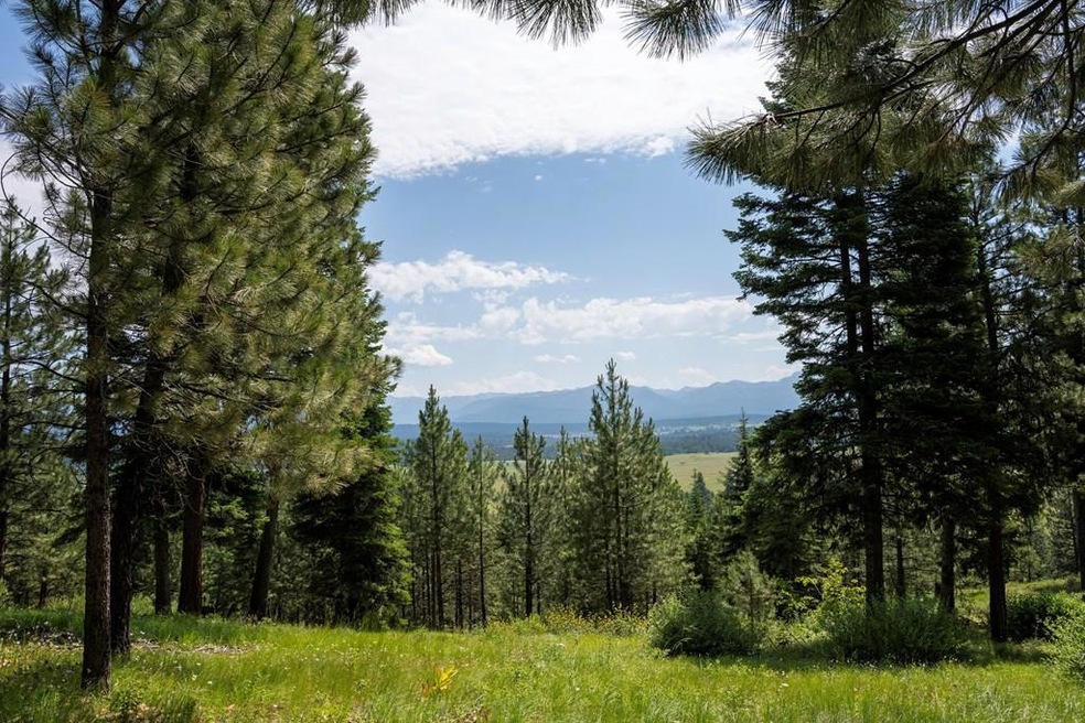 5611 Appaloosa Trail unit 93, McCall, ID 83638 - photo 1