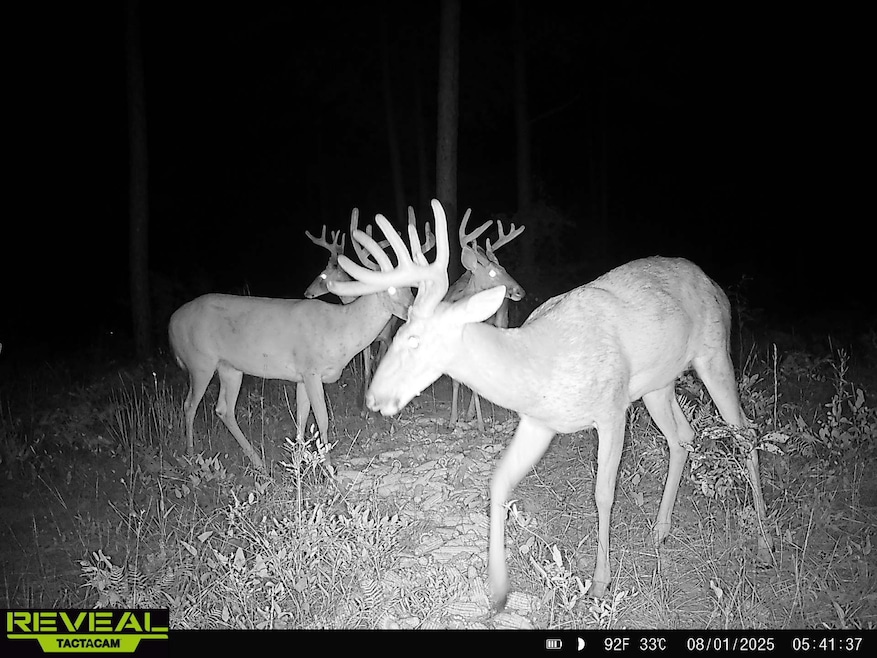 0 N County Line Rd, Sylvester, GA 31791 - photo 1